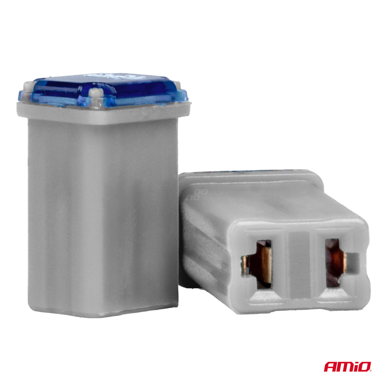 Poistky JAPVAL PAL samica AMIO-03457